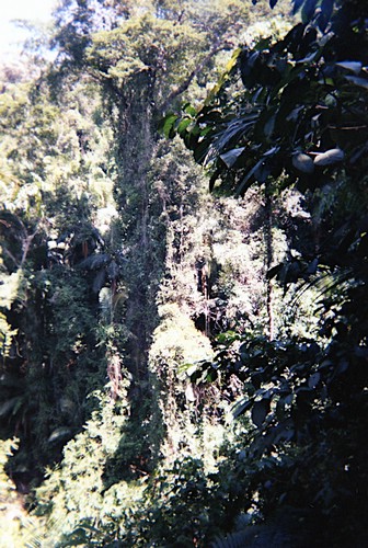 img699.jpg