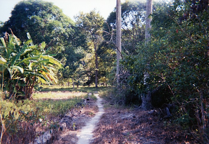 img701.jpg