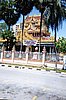 img531.jpg