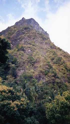 img782.jpg
