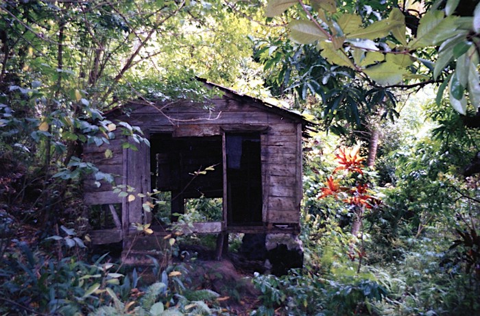 img783.jpg