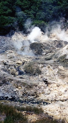 img787.jpg