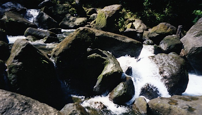 img818.jpg