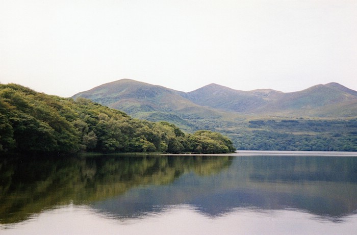 img889.jpg