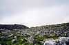 img875.jpg