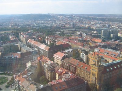 IMG_0733.jpg