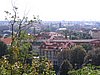 IMG_0714.jpg