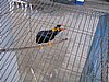 102_0224.JPG