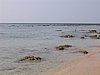 102_0241.JPG