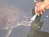 103_0308.JPG