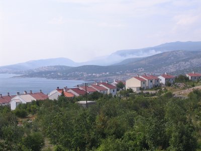 IMG_0585.jpg