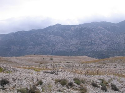 IMG_0587.jpg