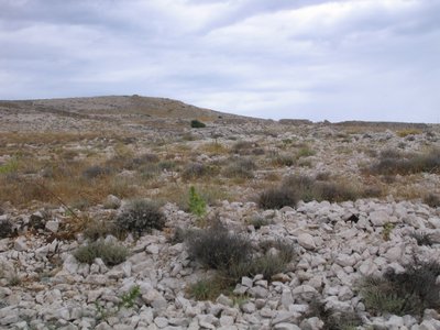 IMG_0588.jpg