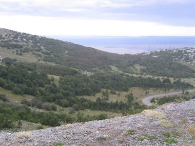 IMG_0596.jpg