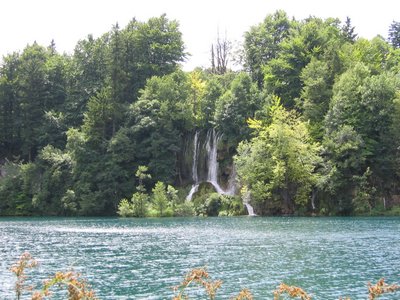 IMG_0602.jpg
