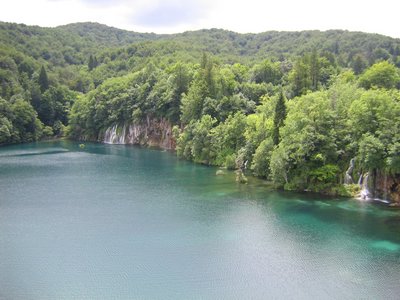 IMG_0612.jpg