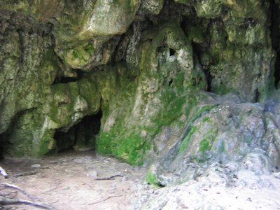 IMG_0618.jpg