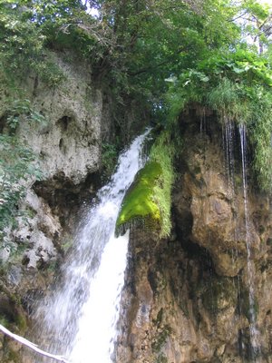 IMG_0621.jpg