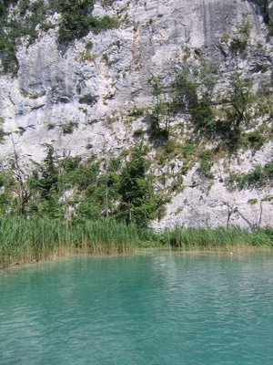 IMG_0631.jpg