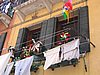 IMG_0579.jpg