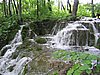 IMG_0603.jpg