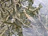 IMG_0610.jpg