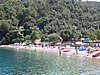 IMG_0667.jpg