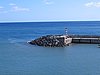 IMG_0362.jpg