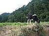 IMG_0372.jpg