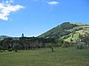 IMG_0434.jpg