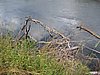IMG_0329.jpg
