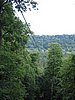 IMG_0332.jpg
