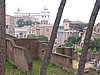 IMG_0251.jpg