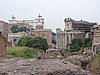 IMG_0252.jpg