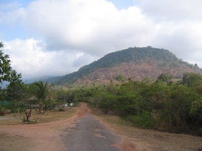IMG_0115.jpg