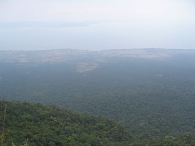 IMG_0131.jpg