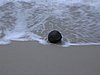 IMG_0037.jpg