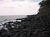 IMG_0061.jpg
