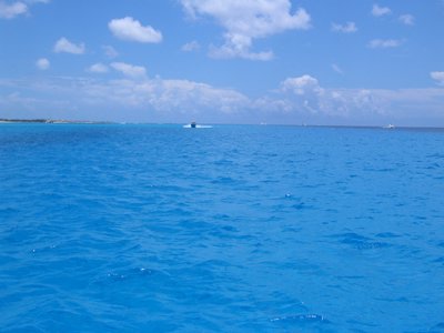 IMG_0879.jpg