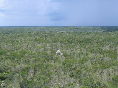 IMG_0938.jpg