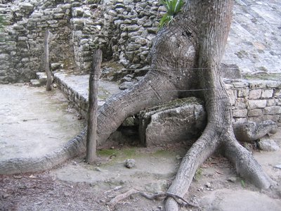 IMG_0943.jpg