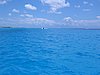 IMG_0879.jpg