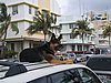 IMG_0641.jpg