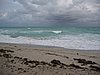 IMG_0654.jpg