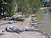 IMG_0695.jpg