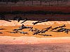 IMG_0699.jpg