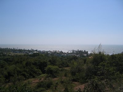 IMG_1440.jpg