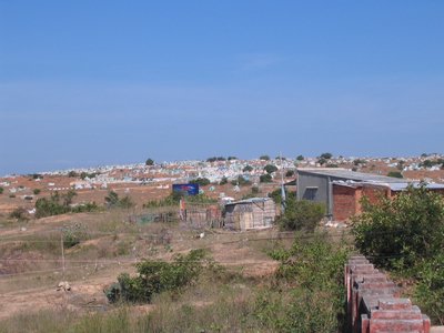 IMG_1441.jpg