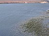 IMG_1428.jpg