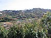 IMG_1456.jpg